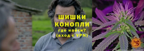 СК Аркадак