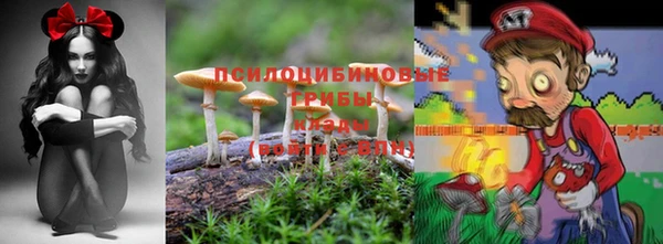 СК Аркадак