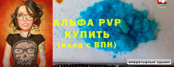 СК Аркадак